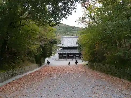 御寺 泉涌寺の庭園