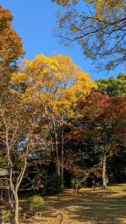 大覚寺(京都府)