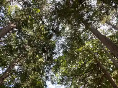 熊野神社の自然