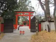 河合神社（鴨川合坐小社宅神社）の鳥居