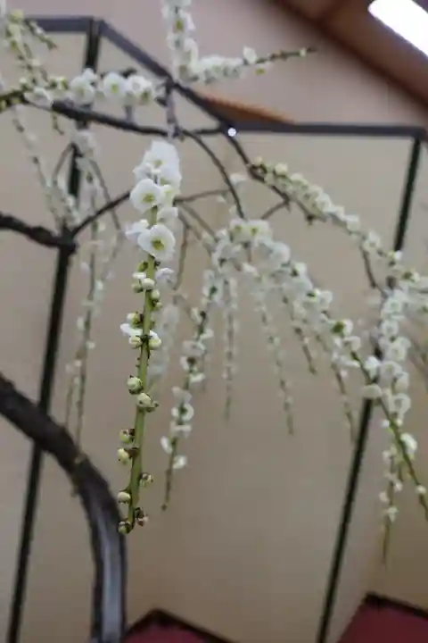 菅原天満宮(菅原神社)のその他建物
