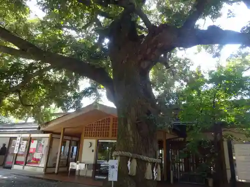 座間神社の自然