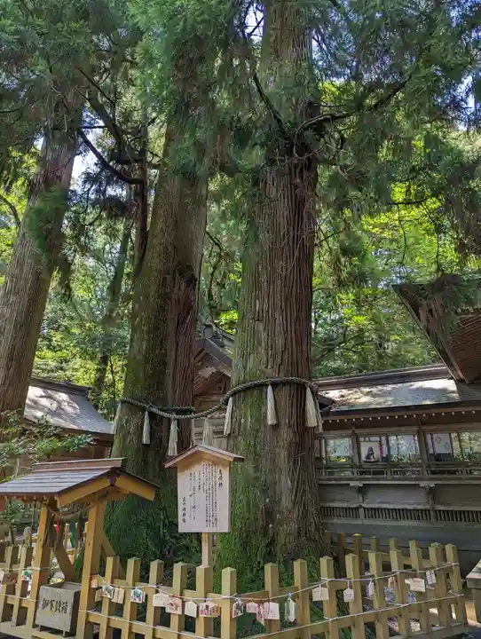 高千穂神社(宮崎県)