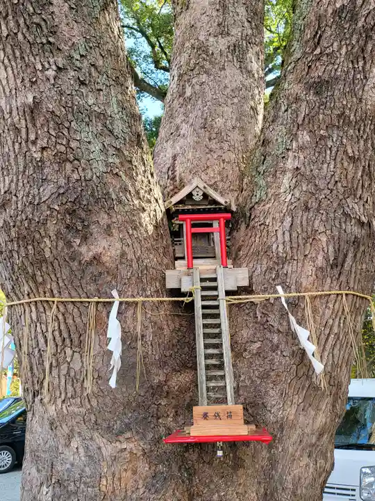 加藤神社(熊本県)