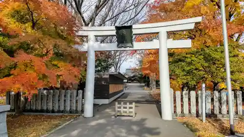 亀田八幡宮の鳥居