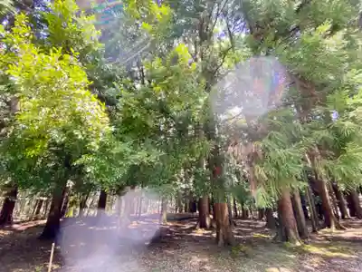 若狭彦神社（上社）(福井県)