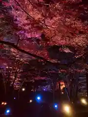 土津神社｜こどもと出世の神さまの景色