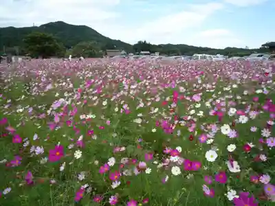 金刀比羅神社の周辺