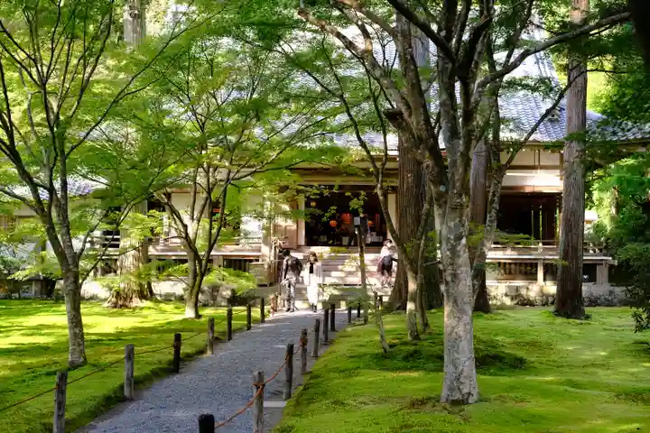 三千院門跡の本殿・本堂