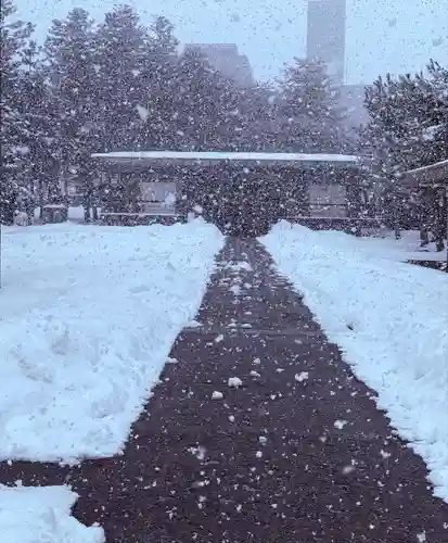福井神社(福井県)