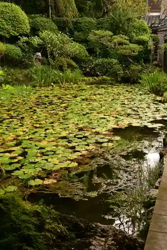 乘臺寺(高知県)