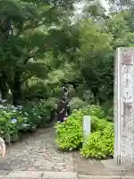 本光寺の庭園
