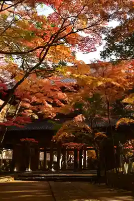 永源寺(滋賀県)