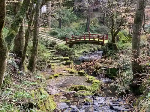 横蔵寺の自然