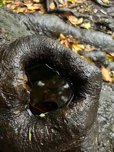 川越氷川神社(埼玉県)