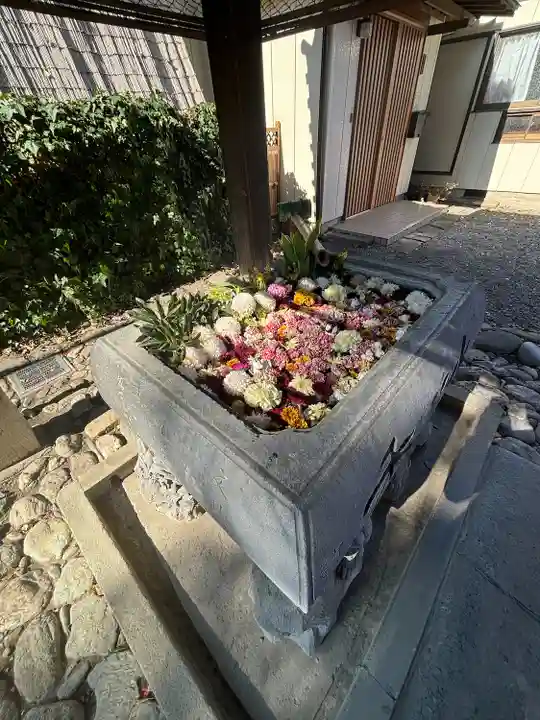 於菊稲荷神社の手水舎