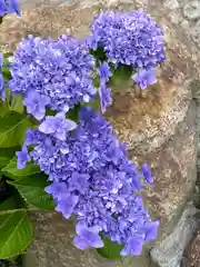 楽法寺（雨引観音）の自然