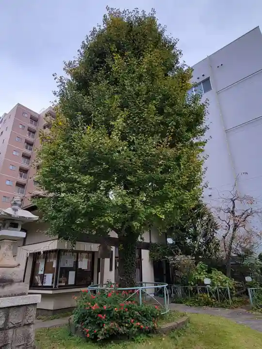 千束稲荷神社のその他建物