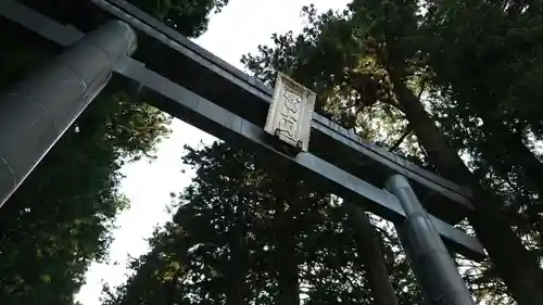 北口本宮冨士浅間神社の鳥居