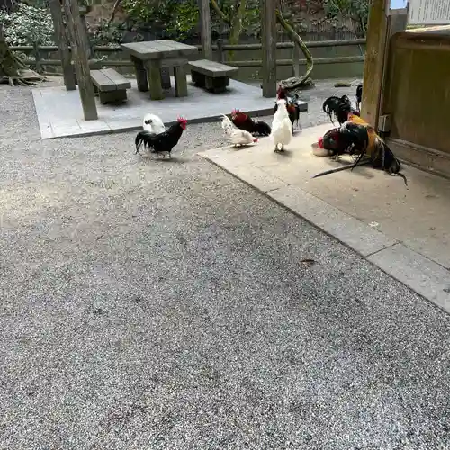 石上神宮(奈良県)