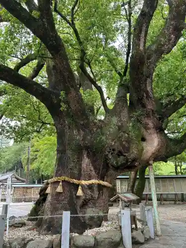 大麻比古神社(徳島県)