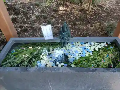 下野 星宮神社の手水舎