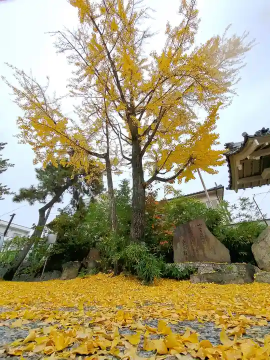 桑名宗社(春日神社)(三重県)