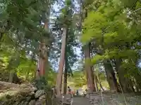 金櫻神社(山梨県)