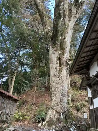 丹生川上神社（下社）(奈良県)