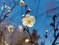 立志神社(滋賀県)