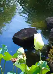 長谷寺(神奈川県)