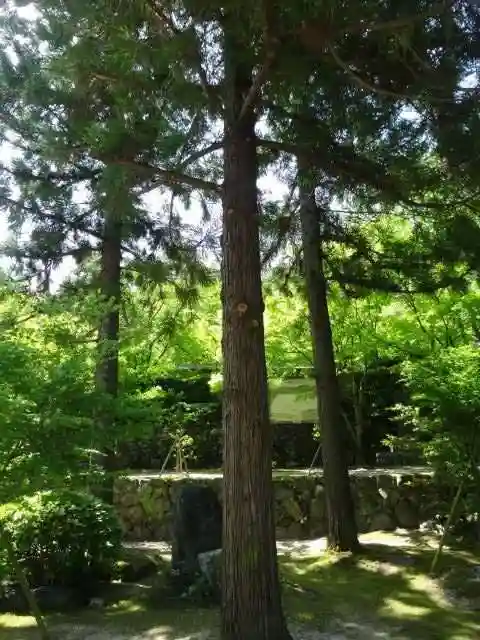 酬恩庵一休寺の自然