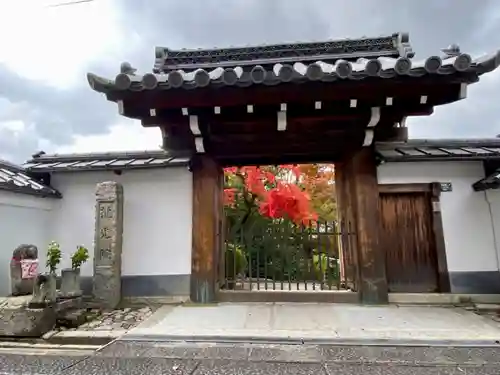 龍光院の山門