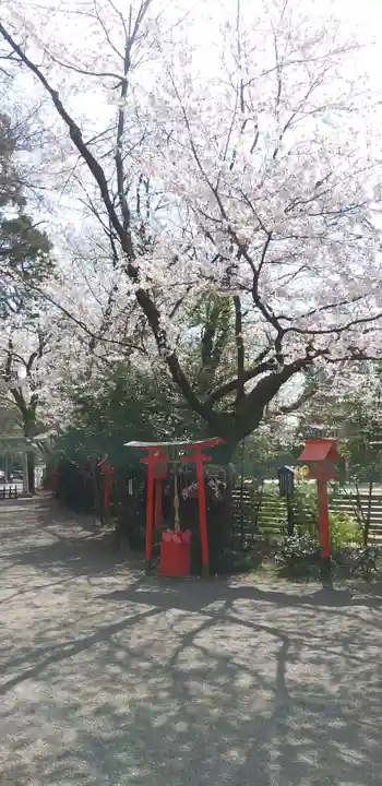 冠稲荷神社の自然