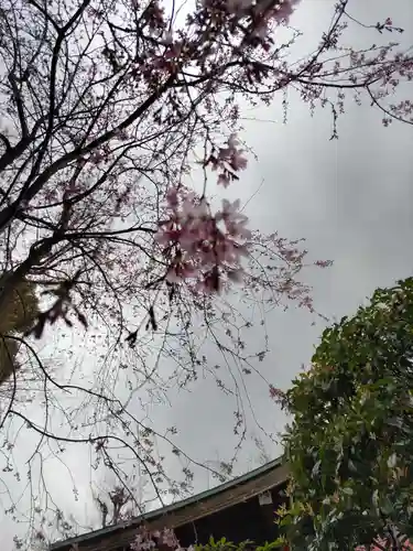 宝勝山　南藏院   蓮光寺の庭園