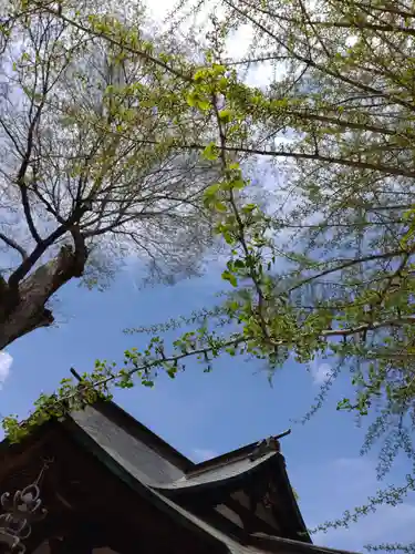 賀羅加波神社の自然