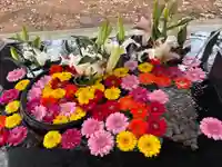 大谷地神社(北海道)