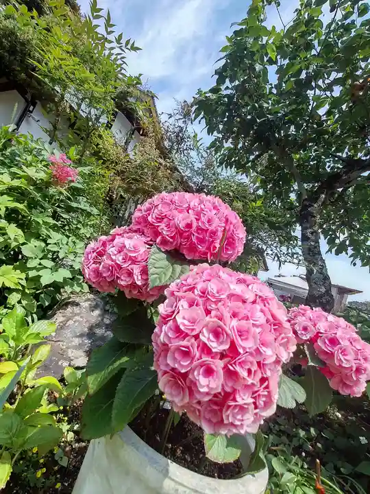 千光寺(福岡県)