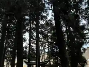 大宮温泉神社(栃木県)(2023年02月04日(土) 07時38分46秒投稿)