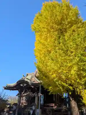 諏訪神社(東京都)