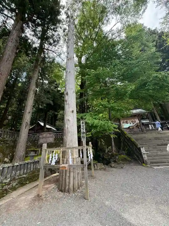 諏訪大社(長野県)