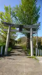 八幡神社の鳥居