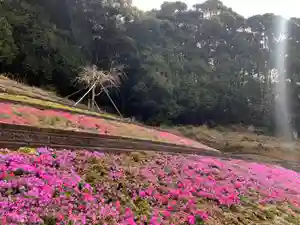 普門寺(切り絵御朱印発祥の寺)(愛知県)(2023年03月24日(金) 10時15分26秒投稿)