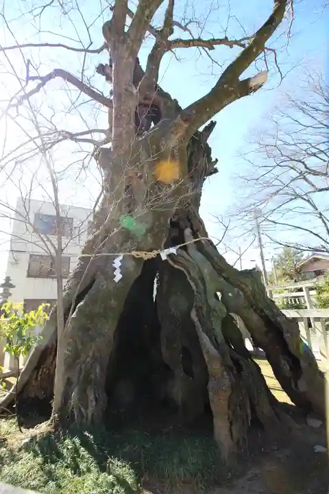 高城神社(埼玉県)