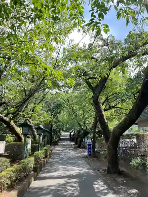 九重神社(埼玉県)