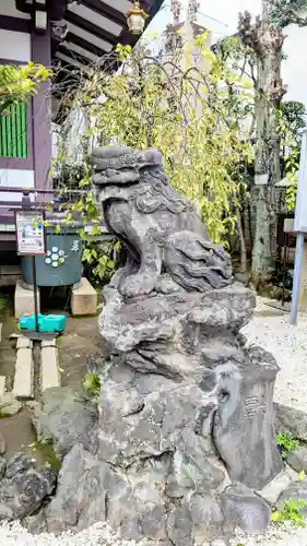 高木神社の狛犬