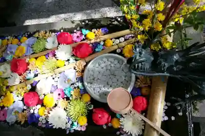 札幌護國神社の手水舎