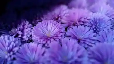 阿邪訶根神社の授与品その他