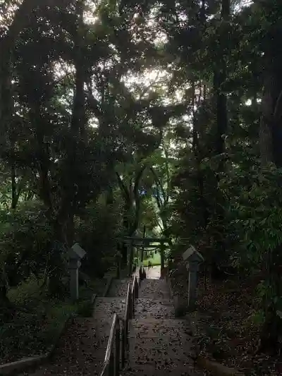白幡神社の鳥居