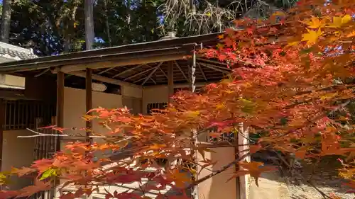 常照寺(京都府)